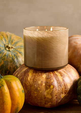 Pumpkin Seed & Sandalwood 3-Wick 30 oz Candle - J.A. Whitney