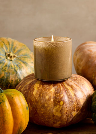 Pumpkin Seed & Sandalwood 15.5 oz Candle