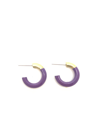 Purple Small Hoop Earrings - J.A. Whitney
