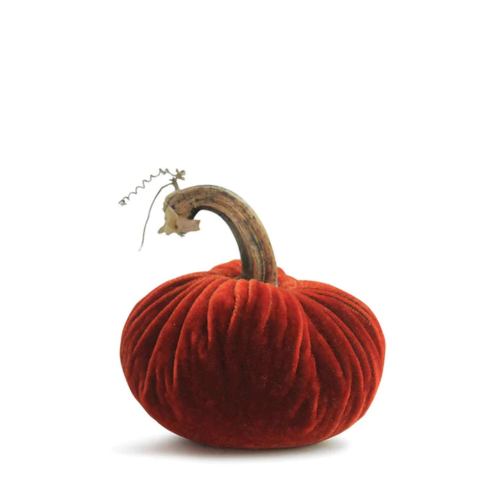 Bittersweet Plush Pumpkin