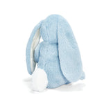 Seated Blue Bunny - Personalization Available