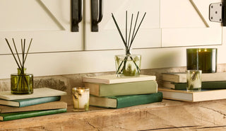 Frasier Fir Pine Needle Diffuser