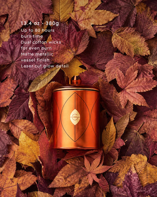 Harvest Muse 13.4 oz Candle