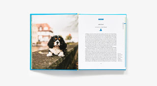 50 Places to Travel with Your Dog Before You Die - J.A. Whitney