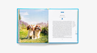 50 Places to Travel with Your Dog Before You Die - J.A. Whitney