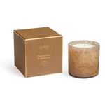 Pumpkin Seed & Sandalwood 15.5 oz Candle