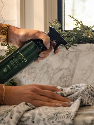 Winter Fir Geometry Cleaning Kit
