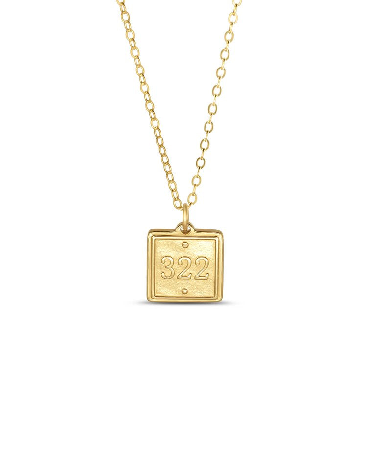 Lamentations 3:22 16" Petite Pendant Necklace