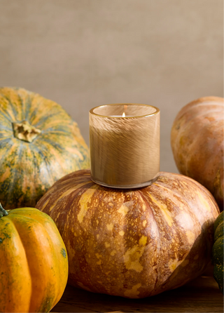 Pumpkin Seed & Sandalwood 6.5 oz Candle