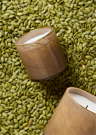 Pumpkin Seed & Sandalwood 6.5 oz Candle
