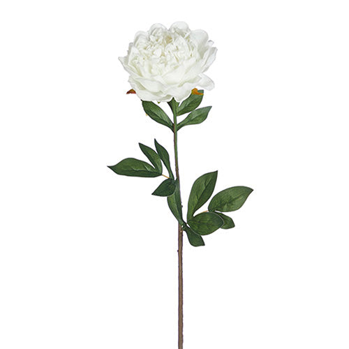 25" Real Touch White Peony Stem