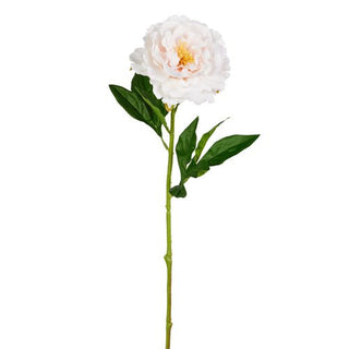 24" Real Touch White Rose Stem - J.A. Whitney