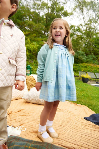 The Beaufort Bonnet Company - Mary Dal Dress - Audubon Park Plaid