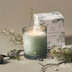 Highland Frost Boxed 6.5oz Candle