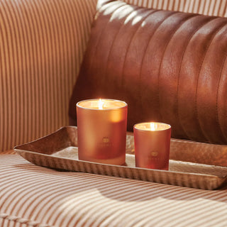 Pumpkin Laurel 6.5 oz Candle - J.A. Whitney