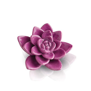 Nora Fleming Mini Get Growing (succulent) - J.A. Whitney
